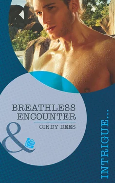 Cindy Dees Breathless Encounter обложка книги