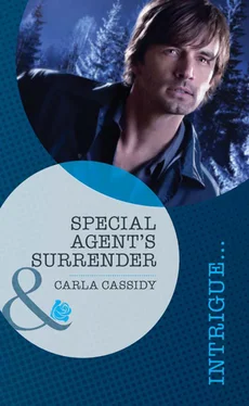 Carla Cassidy Special Agent's Surrender обложка книги