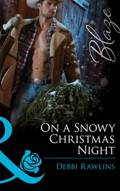 Debbi Rawlins On a Snowy Christmas Night обложка книги