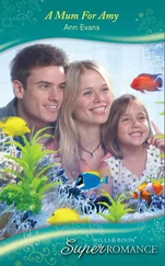 Ann Evans - A Mum For Amy