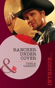 Carla Cassidy Rancher Under Cover обложка книги