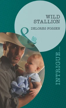 Delores Fossen Wild Stallion обложка книги