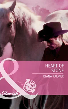 Diana Palmer Heart of Stone обложка книги