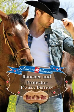 Pamela Britton Rancher and Protector обложка книги