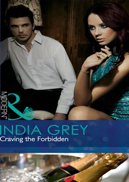 India Grey Craving the Forbidden обложка книги