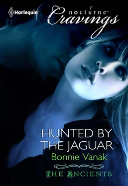 Bonnie Vanak Hunted by the Jaguar обложка книги