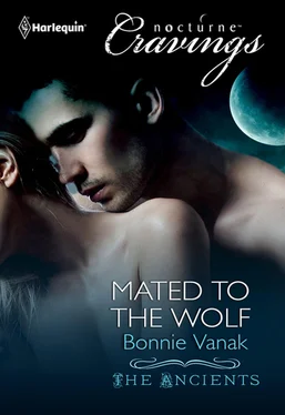 Bonnie Vanak Mated to the Wolf обложка книги