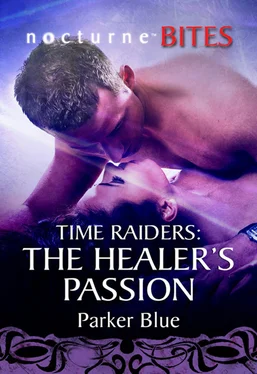 Parker Blue Time Raiders: The Healer's Passion обложка книги