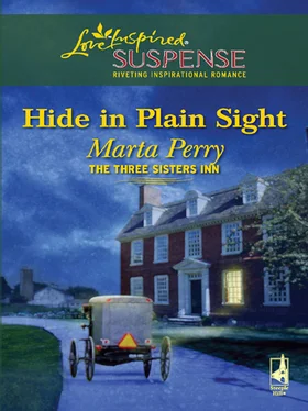 Marta Perry Hide in Plain Sight обложка книги