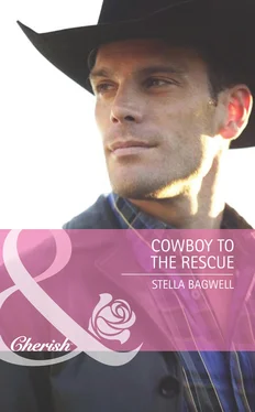 Stella Bagwell Cowboy to the Rescue обложка книги