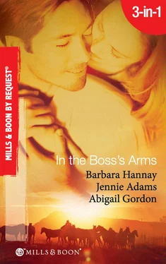 Barbara Hannay In the Boss's Arms обложка книги