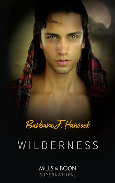 Barbara J. Hancock Wilderness обложка книги