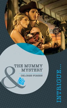 Delores Fossen The Mummy Mystery (The Mommy Mystery) обложка книги