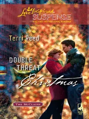 Terri Reed - Double Threat Christmas