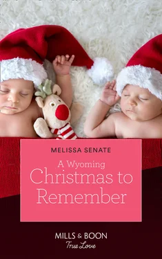 Melissa Senate A Wyoming Christmas To Remember обложка книги