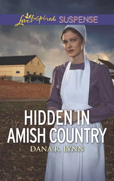 Dana R. Lynn Hidden In Amish Country обложка книги
