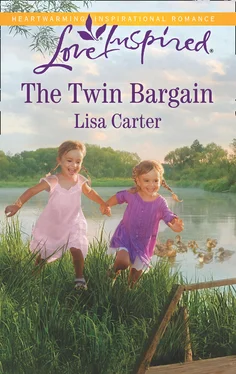 Lisa Carter The Twin Bargain обложка книги