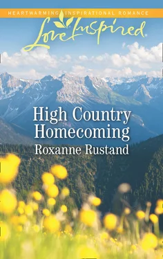 Roxanne Rustand High Country Homecoming обложка книги