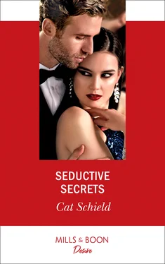 Cat Schield Seductive Secrets обложка книги