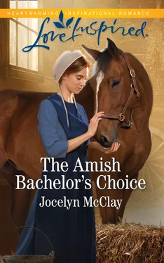 Jocelyn McClay The Amish Bachelor's Choice обложка книги