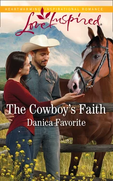 Danica Favorite The Cowboy's Faith обложка книги