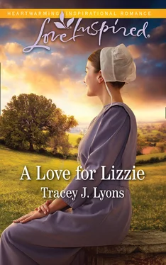 Tracey J. Lyons A Love For Lizzie обложка книги