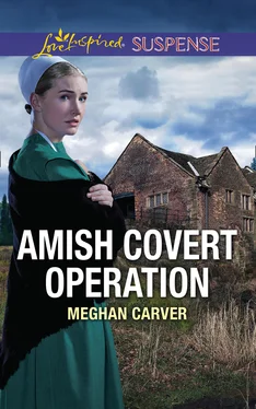 Meghan Carver Amish Covert Operation обложка книги