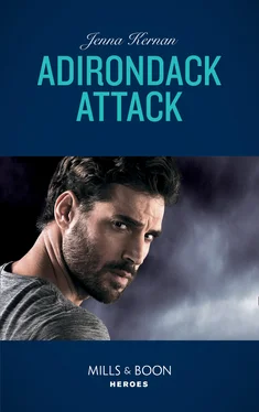 Jenna Kernan Adirondack Attack обложка книги