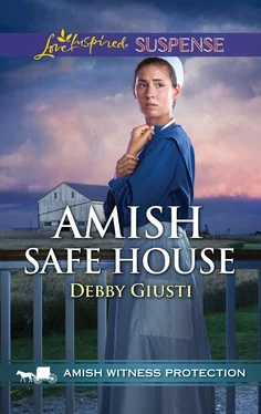 Debby Giusti Amish Safe House обложка книги