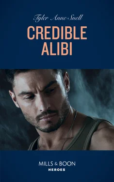 Tyler Anne Snell Credible Alibi обложка книги