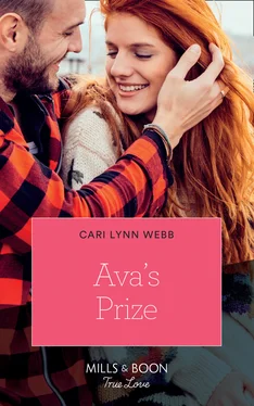 Cari Lynn Ava's Prize обложка книги