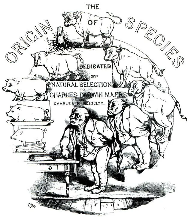 Карикатура 1872 года авторы которой пытаются высмеять основную идею книги - фото 3
