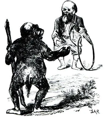 Дарвин приглашает обезьяну прыгнуть через обруч Подпись гласит Мудрый отец - фото 4