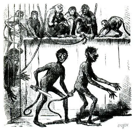 На карикатуре опубликованной в журнале Harpers Bazaar в 1876 году обезьяна - фото 6