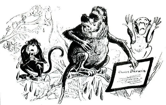 На карикатуре напечатанной венским журналом Kikeriki в 1882 году обезьяны - фото 7