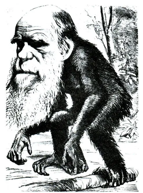 Злая карикатура на Дарвина помещенная в Hornet в 1871 году изображает его в - фото 9