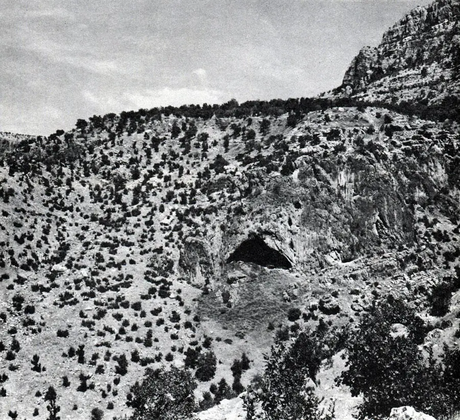 Поросшая низкорослым дубняком гора Барадост изобилует пещерами и Солецки решил - фото 102