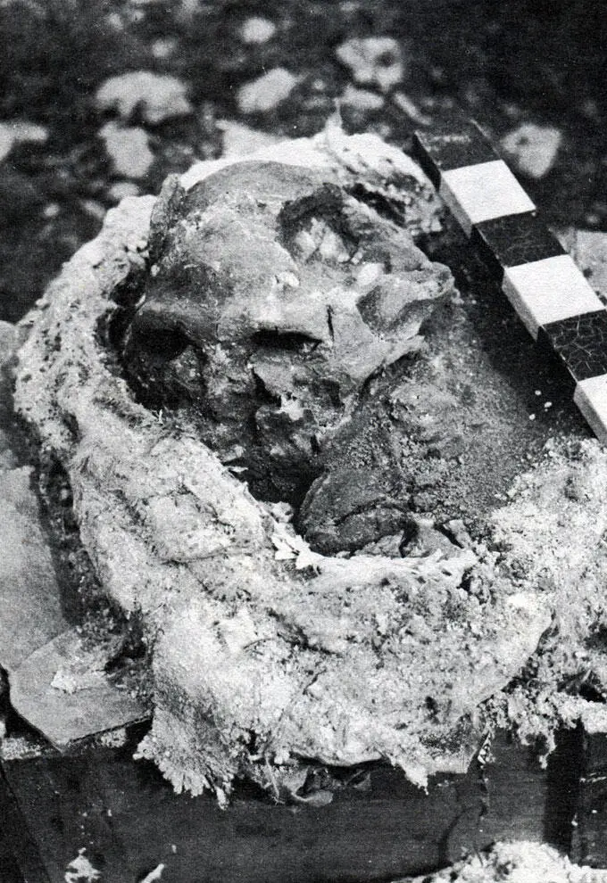 Найден в земле череп мужчины погибшего от сокрушительного удара по голове - фото 116