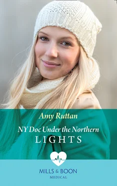 Amy Ruttan Ny Doc Under The Northern Lights обложка книги