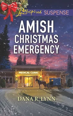 Dana R. Lynn Amish Christmas Emergency обложка книги