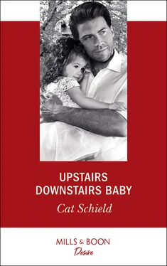 Cat Schield Upstairs Downstairs Baby обложка книги