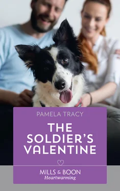 Pamela Tracy The Soldier's Valentine обложка книги