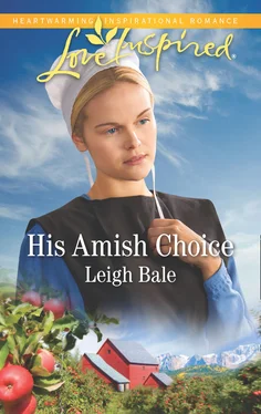 Leigh Bale His Amish Choice обложка книги