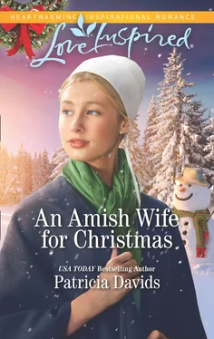 Patricia Davids An Amish Wife For Christmas обложка книги