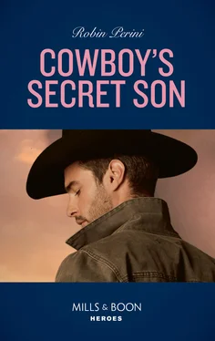Robin Perini Cowboy's Secret Son обложка книги