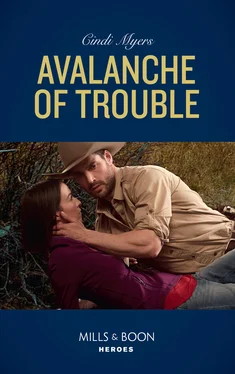 Cindi Myers Avalanche Of Trouble обложка книги