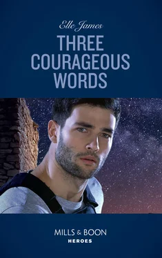 Elle James Three Courageous Words обложка книги