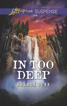 Sharon Dunn In Too Deep обложка книги