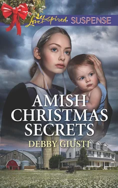 Debby Giusti Amish Christmas Secrets обложка книги