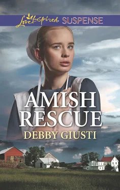 Debby Giusti Amish Rescue обложка книги